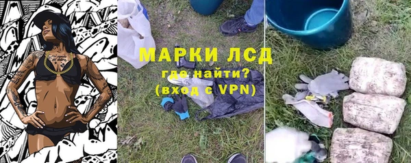 шишки Белоозёрский