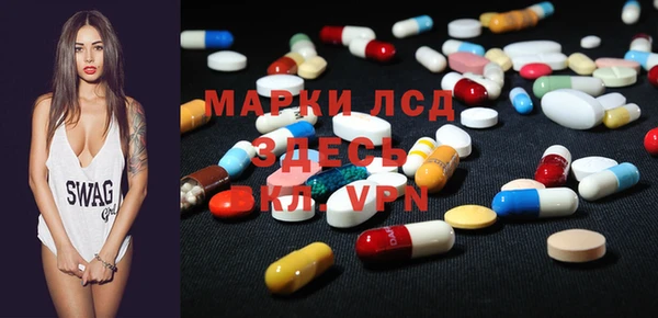 шишки Белоозёрский