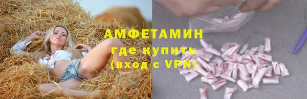 шишки Белоозёрский