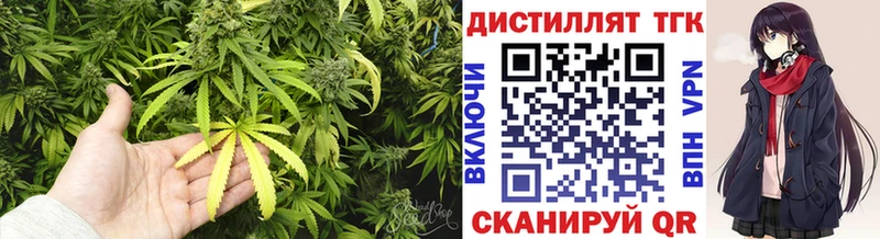 hydra онион  Болотное  ТГК Wax 