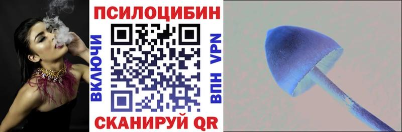 Галлюциногенные грибы Cubensis hydra tor Болотное